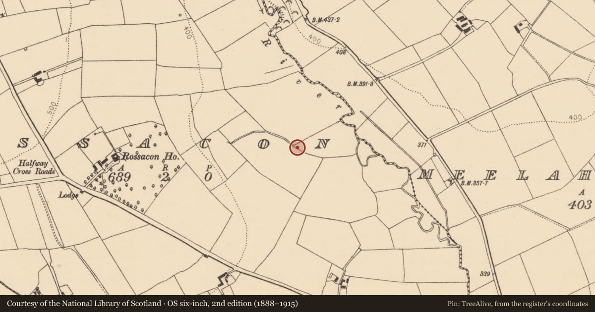 Ordnance Survey six-inch map, 2nd edition (1888–1915) covering the location of Fulacht fia, Rossacon, County Cork, with a pin at the register's coordinates