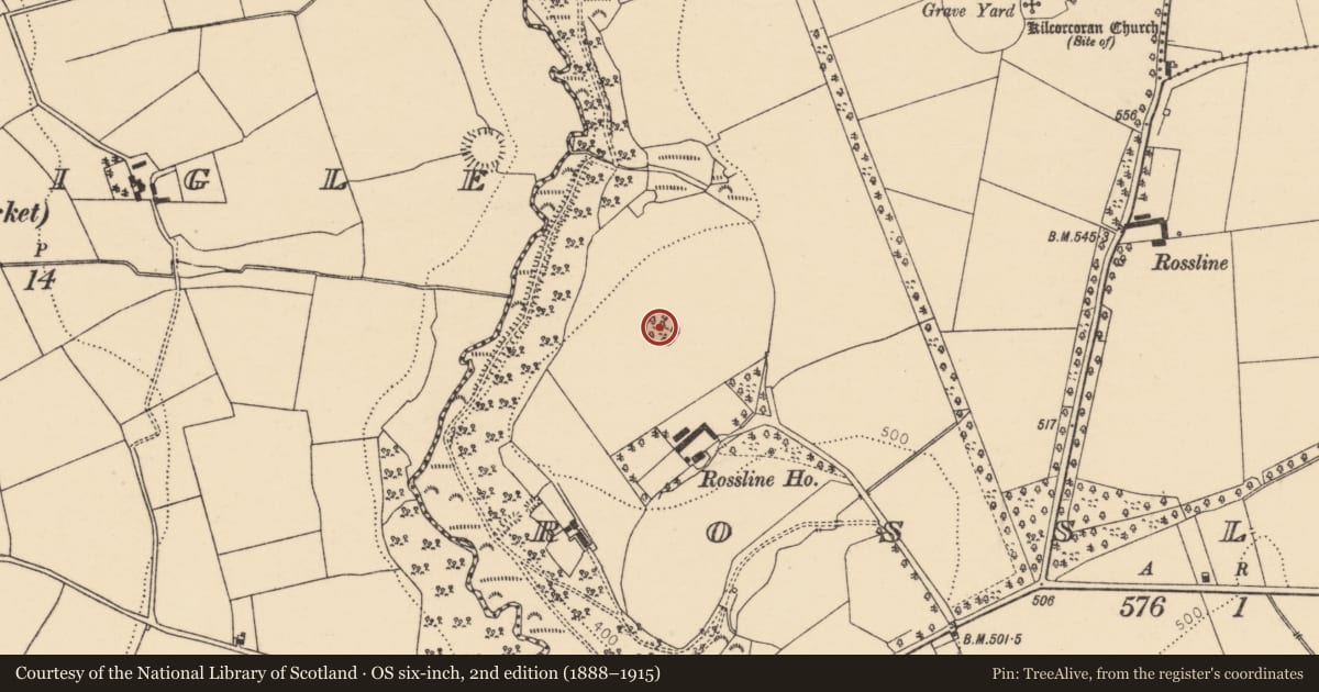 Ordnance Survey six-inch map, 2nd edition (1888–1915) covering the location of Ringfort - rath, Rossline, County Cork, with a pin at the register's coordinates