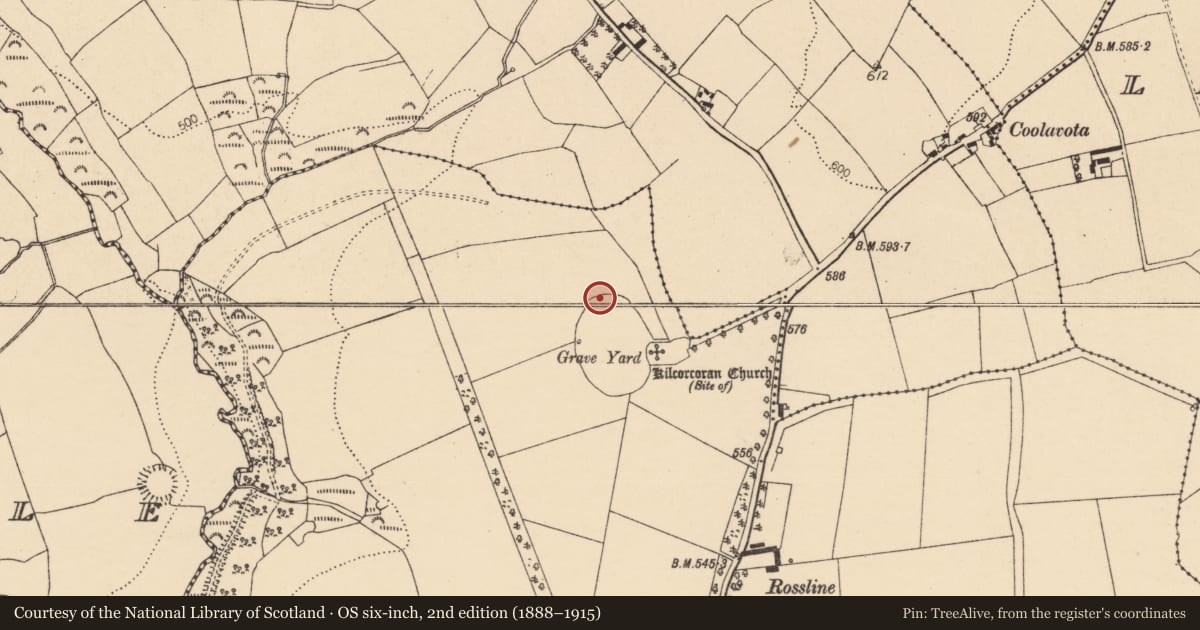 Ordnance Survey six-inch map, 2nd edition (1888–1915) covering the location of Ecclesiastical enclosure, Rossline, County Cork, with a pin at the register's coordinates