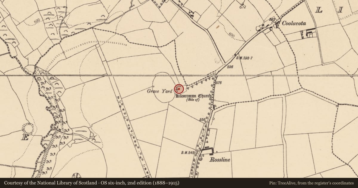 Ordnance Survey six-inch map, 2nd edition (1888–1915) covering the location of Graveyard, Rossline, County Cork, with a pin at the register's coordinates