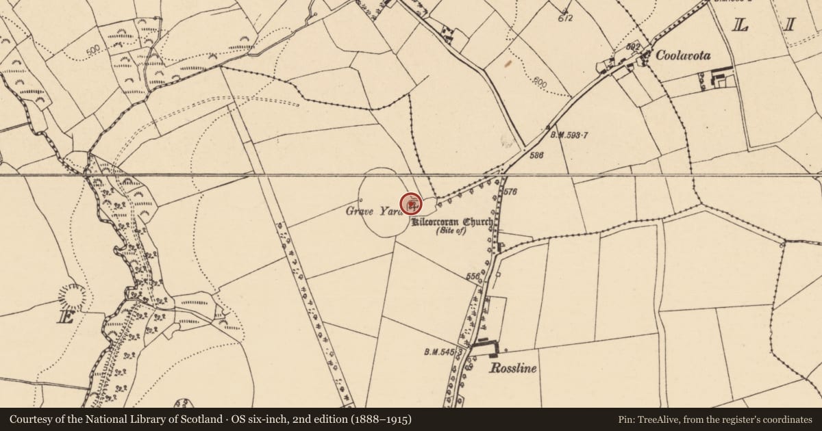 Ordnance Survey six-inch map, 2nd edition (1888–1915) covering the location of Church, Rossline, County Cork, with a pin at the register's coordinates
