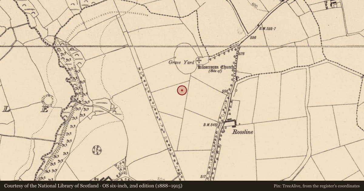 Ordnance Survey six-inch map, 2nd edition (1888–1915) covering the location of Ritual site - holy well, Rossline, County Cork, with a pin at the register's coordinates