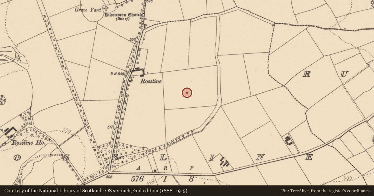 Ordnance Survey six-inch map, 2nd edition (1888–1915) covering the location of Ringfort - rath, Rossline, County Cork, with a pin at the register's coordinates