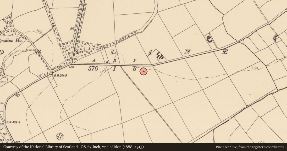 Ordnance Survey six-inch map, 2nd edition (1888–1915) covering the location of Fulacht fia, Rossline, County Cork, with a pin at the register's coordinates