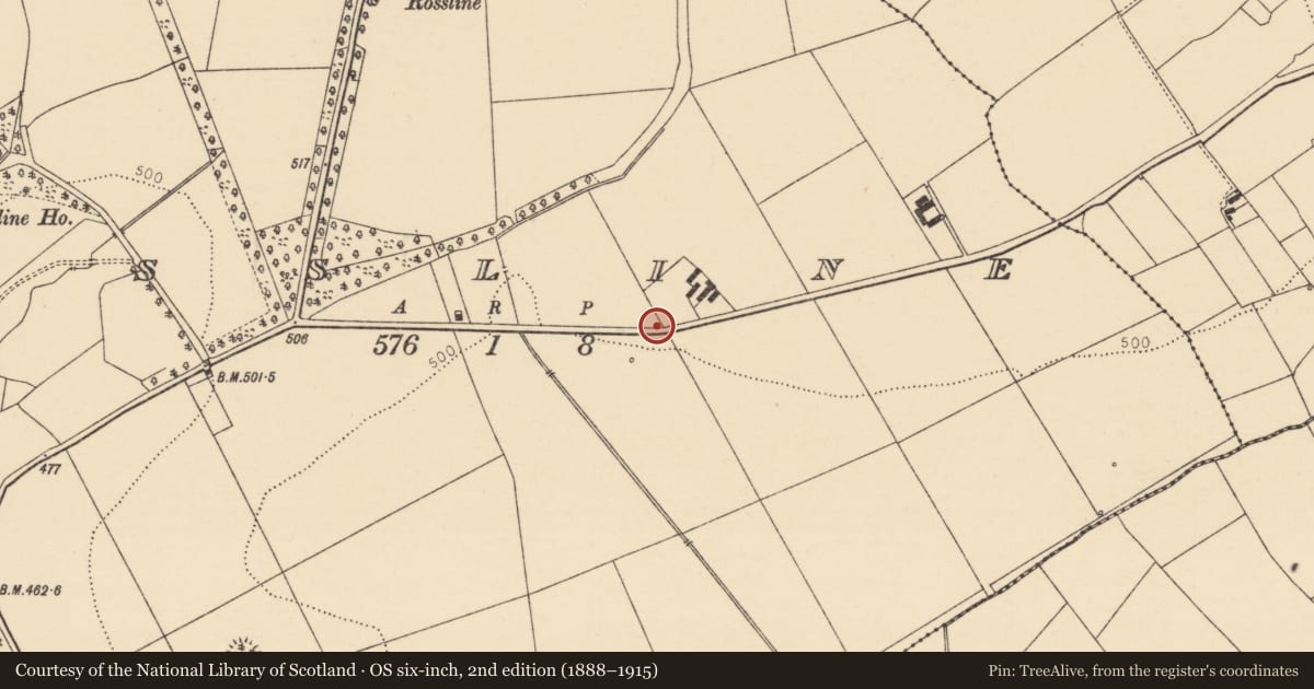 Ordnance Survey six-inch map, 2nd edition (1888–1915) covering the location of Ringfort - rath, Rossline, County Cork, with a pin at the register's coordinates