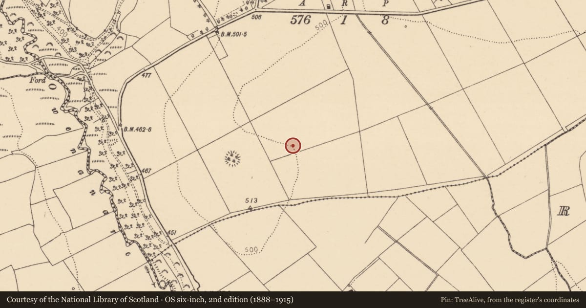 Ordnance Survey six-inch map, 2nd edition (1888–1915) covering the location of Ringfort - rath, Rossline, County Cork, with a pin at the register's coordinates