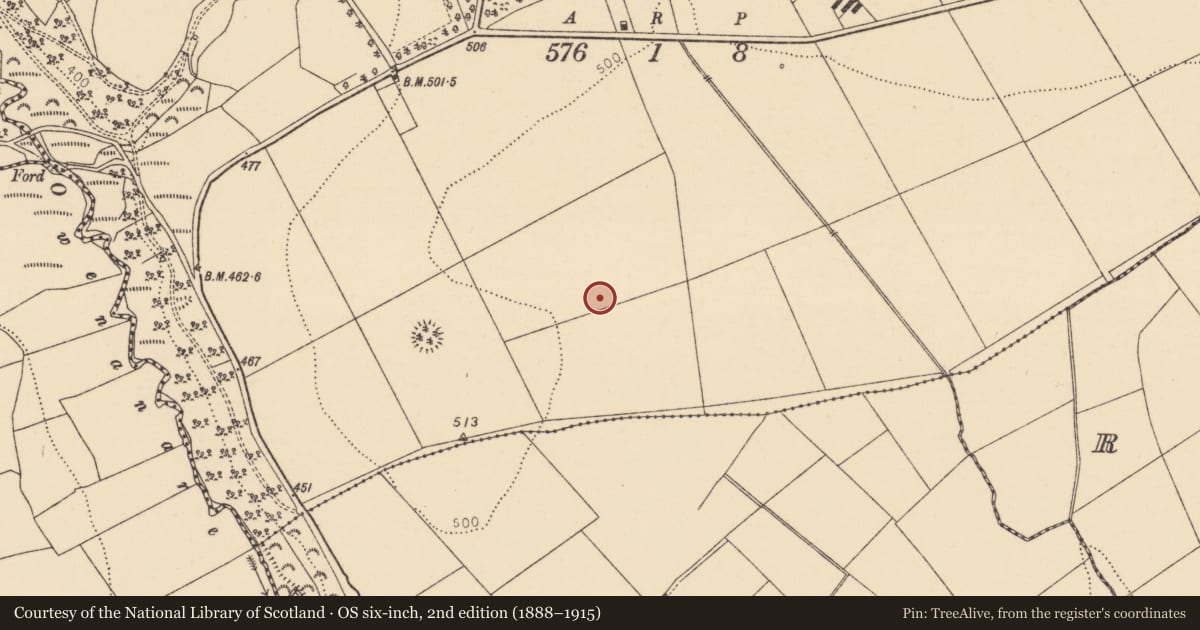 Ordnance Survey six-inch map, 2nd edition (1888–1915) covering the location of Ringfort - rath, Rossline, County Cork, with a pin at the register's coordinates
