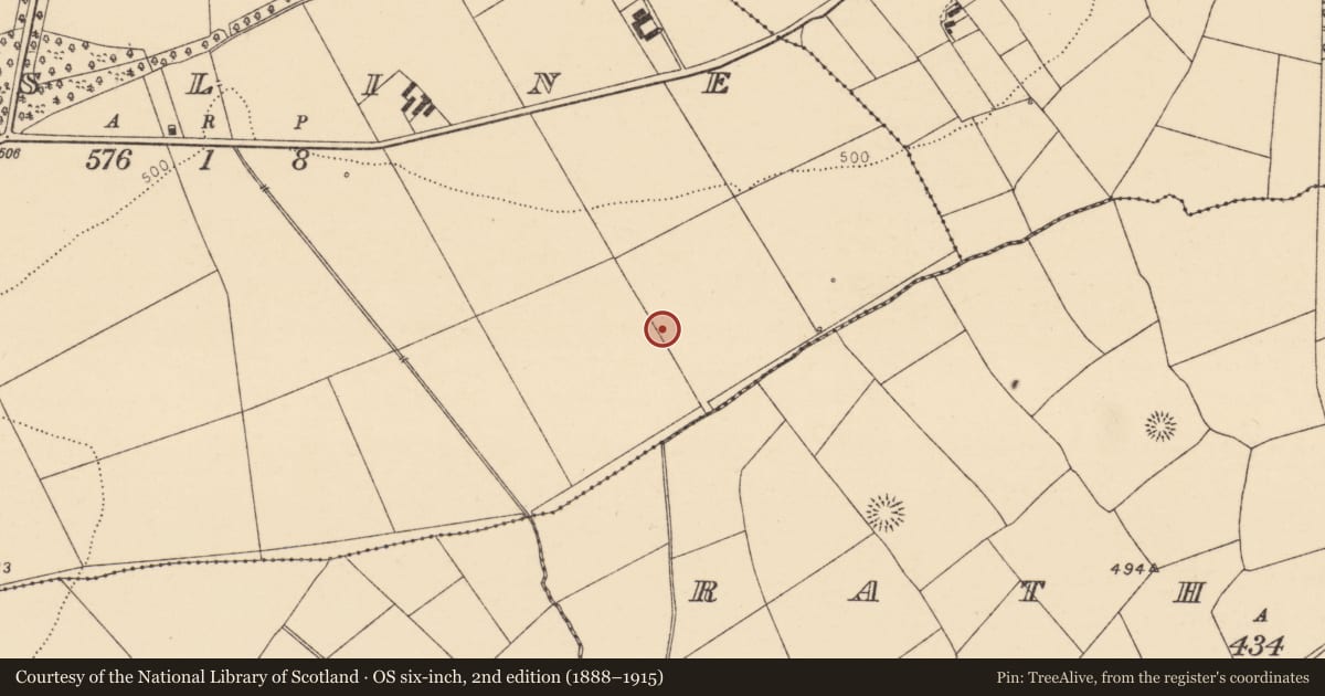 Ordnance Survey six-inch map, 2nd edition (1888–1915) covering the location of Fulacht fia, Rossline, County Cork, with a pin at the register's coordinates