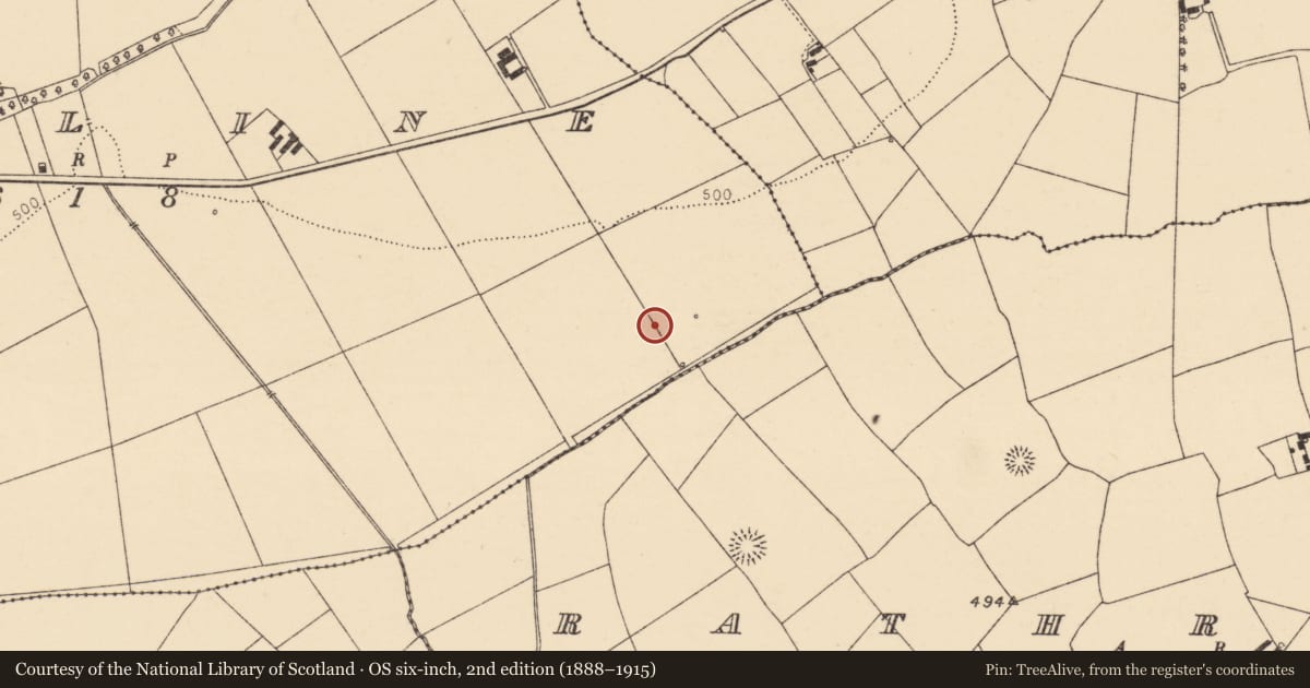 Ordnance Survey six-inch map, 2nd edition (1888–1915) covering the location of Fulacht fia, Rossline, County Cork, with a pin at the register's coordinates
