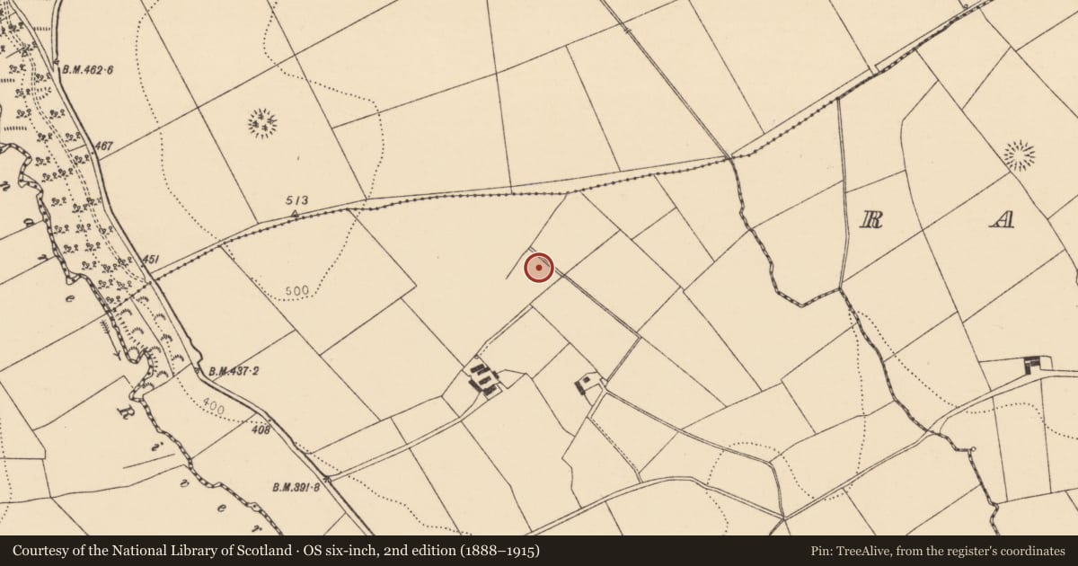 Ordnance Survey six-inch map, 2nd edition (1888–1915) covering the location of Fulacht fia, Meelaherragh, County Cork, with a pin at the register's coordinates