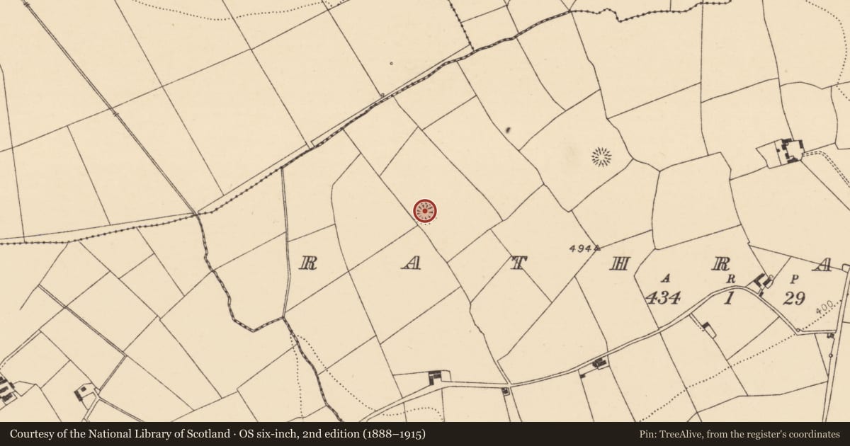 Ordnance Survey six-inch map, 2nd edition (1888–1915) covering the location of Ringfort - rath, Rathranna, County Cork, with a pin at the register's coordinates
