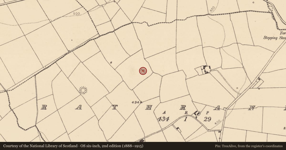 Ordnance Survey six-inch map, 2nd edition (1888–1915) covering the location of Ringfort - rath, Rathranna, County Cork, with a pin at the register's coordinates