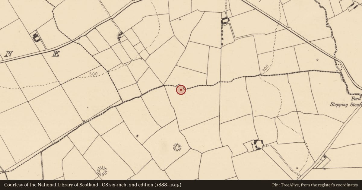 Ordnance Survey six-inch map, 2nd edition (1888–1915) covering the location of Ringfort - rath, Rathranna, County Cork, with a pin at the register's coordinates