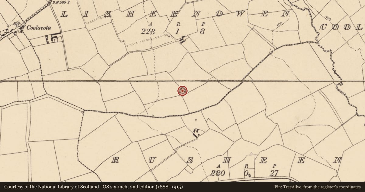 Ordnance Survey six-inch map, 2nd edition (1888–1915) covering the location of Moated site, Lisheenowen, County Cork, with a pin at the register's coordinates