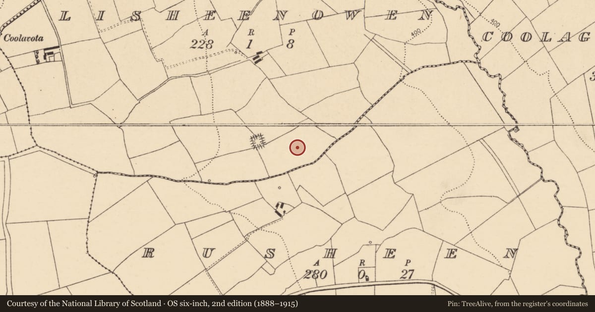 Ordnance Survey six-inch map, 2nd edition (1888–1915) covering the location of Fulacht fia, Lisheenowen, County Cork, with a pin at the register's coordinates