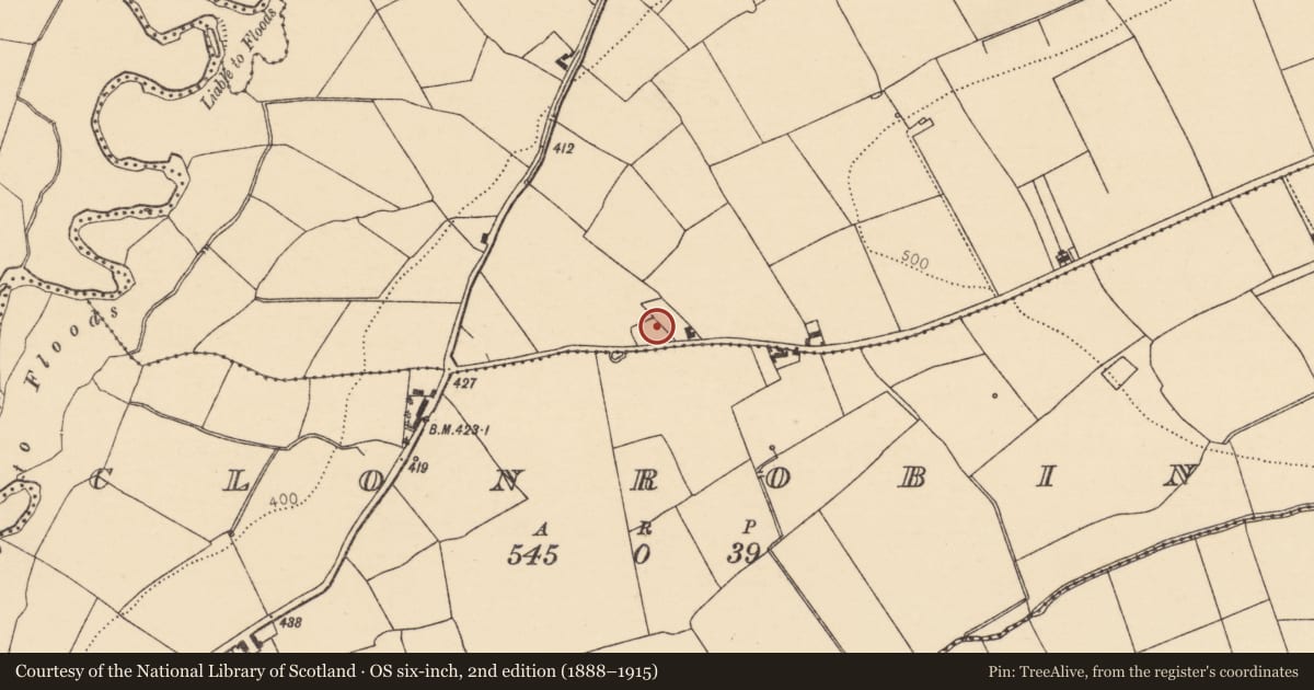 Ordnance Survey six-inch map, 2nd edition (1888–1915) covering the location of Burial ground, Drominagore, County Cork, with a pin at the register's coordinates