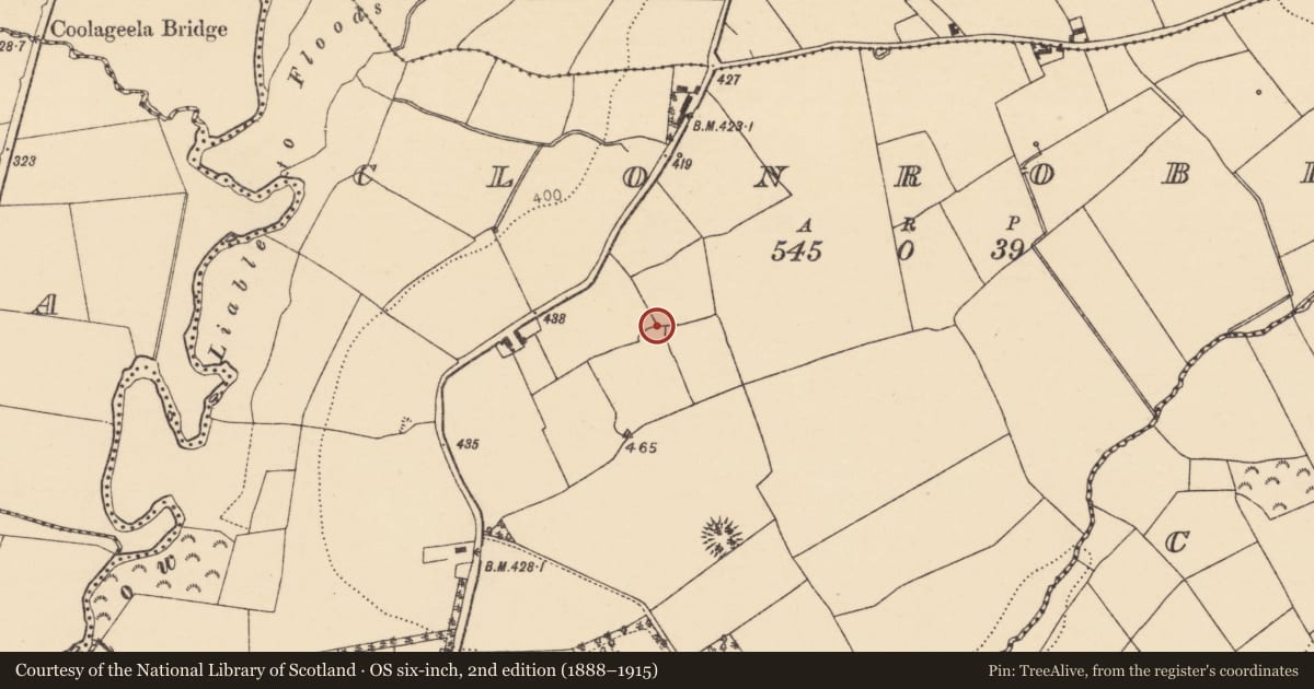 Ordnance Survey six-inch map, 2nd edition (1888–1915) covering the location of Enclosure, Clonrobin, County Cork, with a pin at the register's coordinates