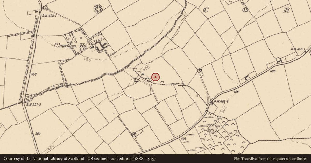 Ordnance Survey six-inch map, 2nd edition (1888–1915) covering the location of Cliff-edge fort, Corbally, County Cork, with a pin at the register's coordinates