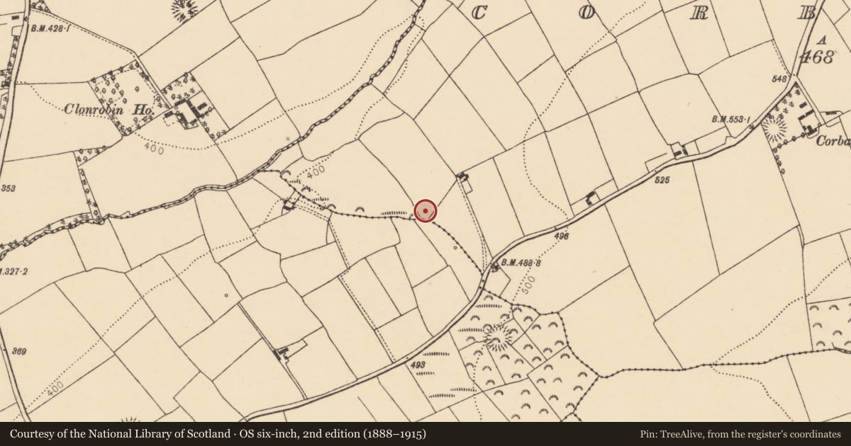 Ordnance Survey six-inch map, 2nd edition (1888–1915) covering the location of Fulacht fia, Corbally, County Cork, with a pin at the register's coordinates