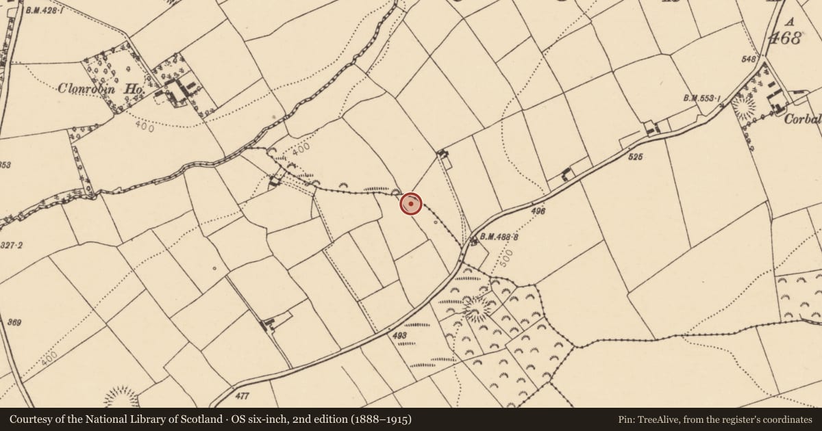 Ordnance Survey six-inch map, 2nd edition (1888–1915) covering the location of Fulacht fia, Knocknacolan, County Cork, with a pin at the register's coordinates