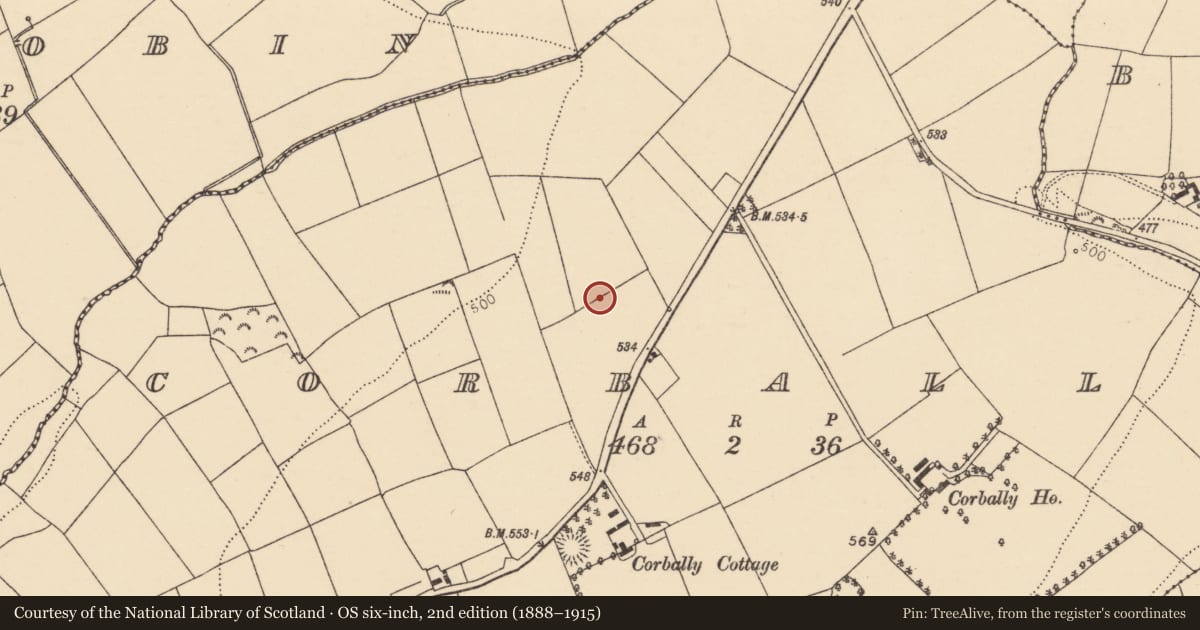 Ordnance Survey six-inch map, 2nd edition (1888–1915) covering the location of Fulacht fia, Corbally, County Cork, with a pin at the register's coordinates