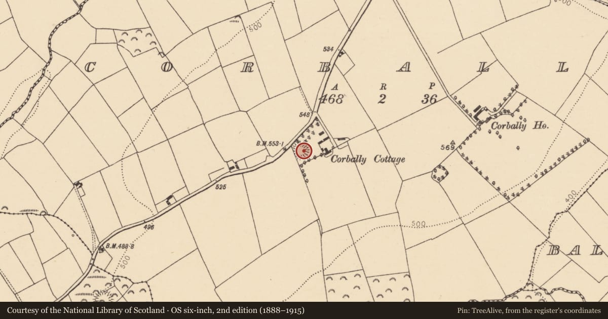 Ordnance Survey six-inch map, 2nd edition (1888–1915) covering the location of Ringfort - rath, Corbally, County Cork, with a pin at the register's coordinates