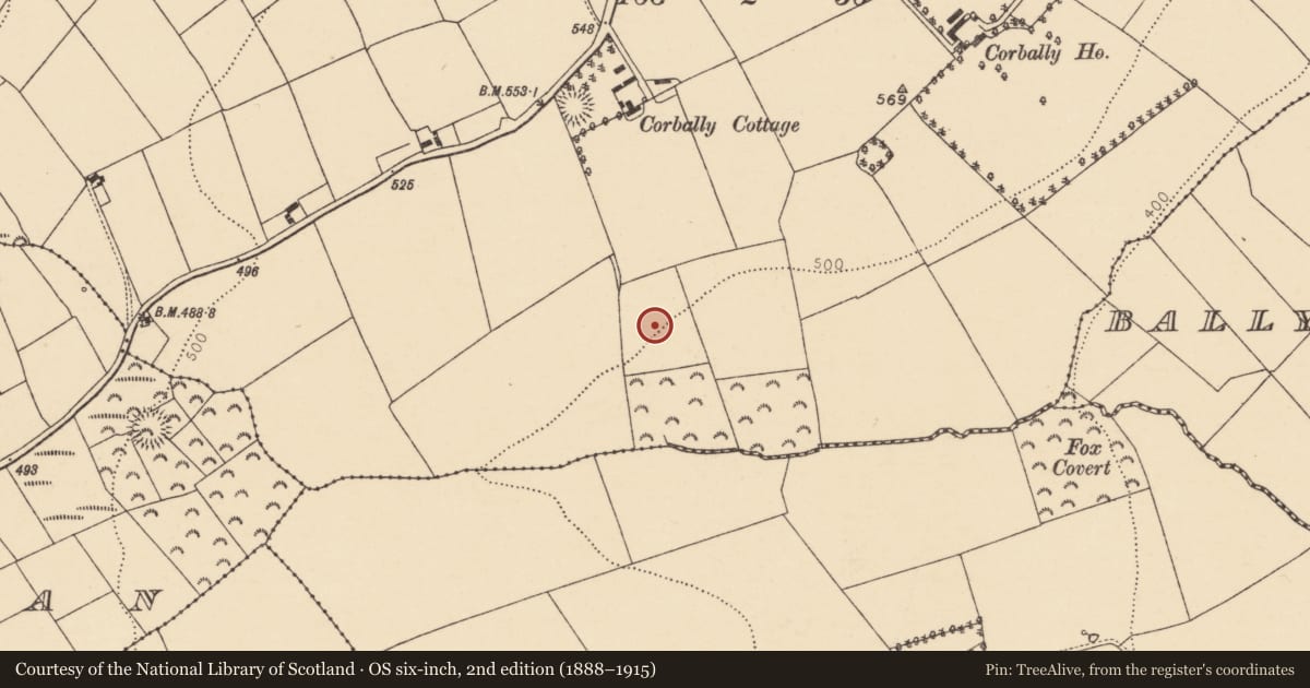 Ordnance Survey six-inch map, 2nd edition (1888–1915) covering the location of Fulacht fia, Corbally, County Cork, with a pin at the register's coordinates