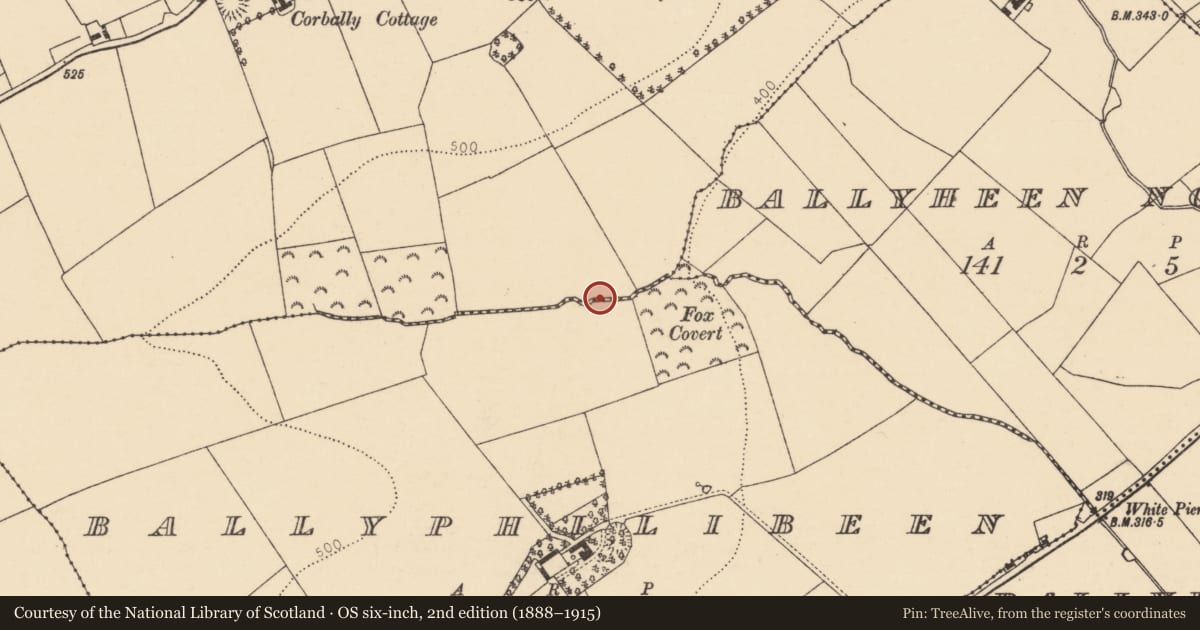 Ordnance Survey six-inch map, 2nd edition (1888–1915) covering the location of Fulacht fia, Corbally, County Cork, with a pin at the register's coordinates
