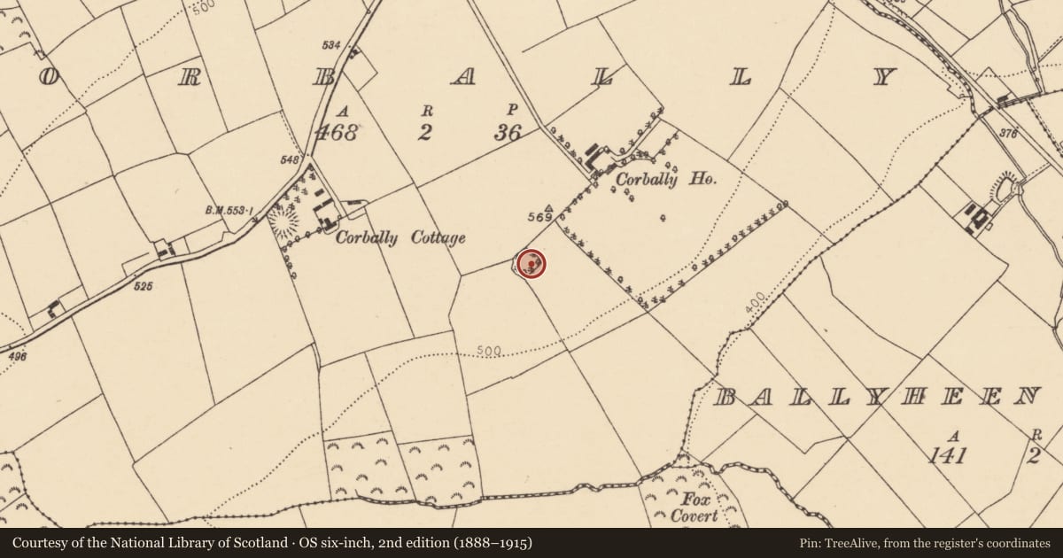 Ordnance Survey six-inch map, 2nd edition (1888–1915) covering the location of Ringfort - rath, Corbally, County Cork, with a pin at the register's coordinates