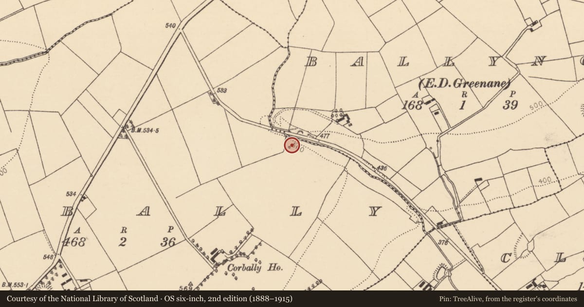 Ordnance Survey six-inch map, 2nd edition (1888–1915) covering the location of Fulacht fia, Corbally, County Cork, with a pin at the register's coordinates