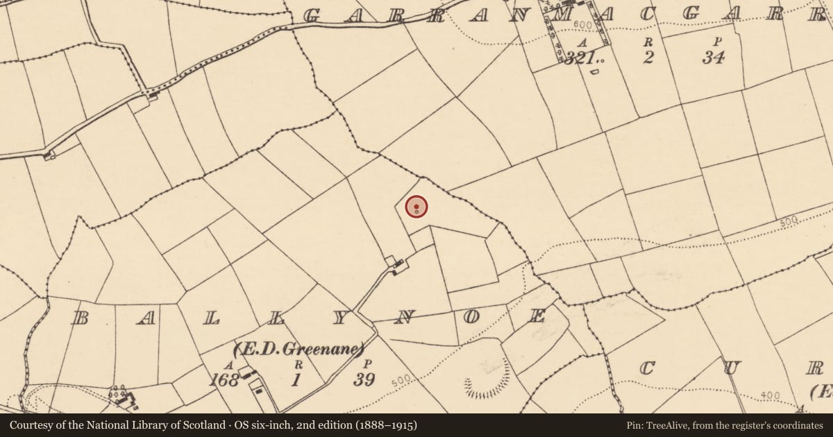 Ordnance Survey six-inch map, 2nd edition (1888–1915) covering the location of Fulacht fia, Ballynoe (Duhallow By., Kilbrin Par.), County Cork, with a pin at the register's coordinates
