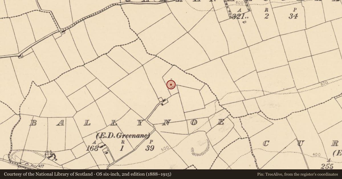 Ordnance Survey six-inch map, 2nd edition (1888–1915) covering the location of Fulacht fia, Ballynoe (Duhallow By., Kilbrin Par.), County Cork, with a pin at the register's coordinates