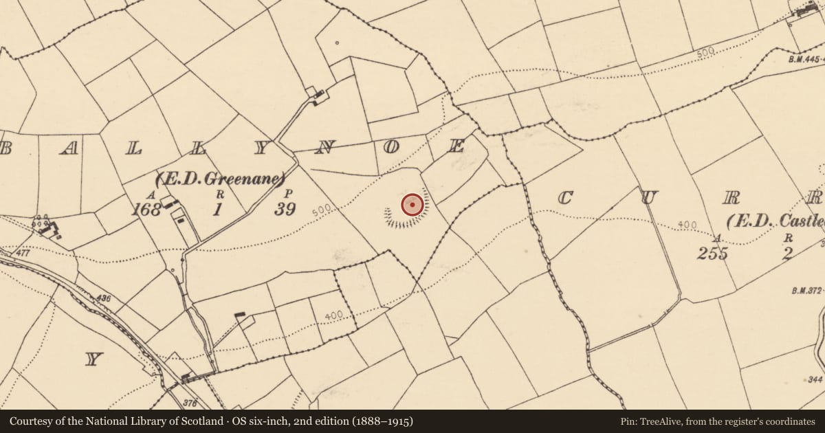 Ordnance Survey six-inch map, 2nd edition (1888–1915) covering the location of Ecclesiastical enclosure, Ballynoe (Duhallow By., Kilbrin Par.), County Cork, with a pin at the register's coordinates
