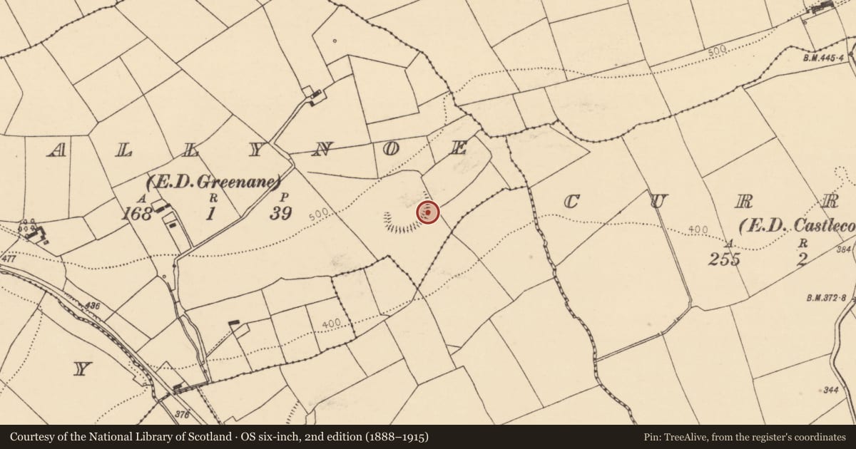 Ordnance Survey six-inch map, 2nd edition (1888–1915) covering the location of Bullaun stone, Ballynoe (Duhallow By., Kilbrin Par.), County Cork, with a pin at the register's coordinates