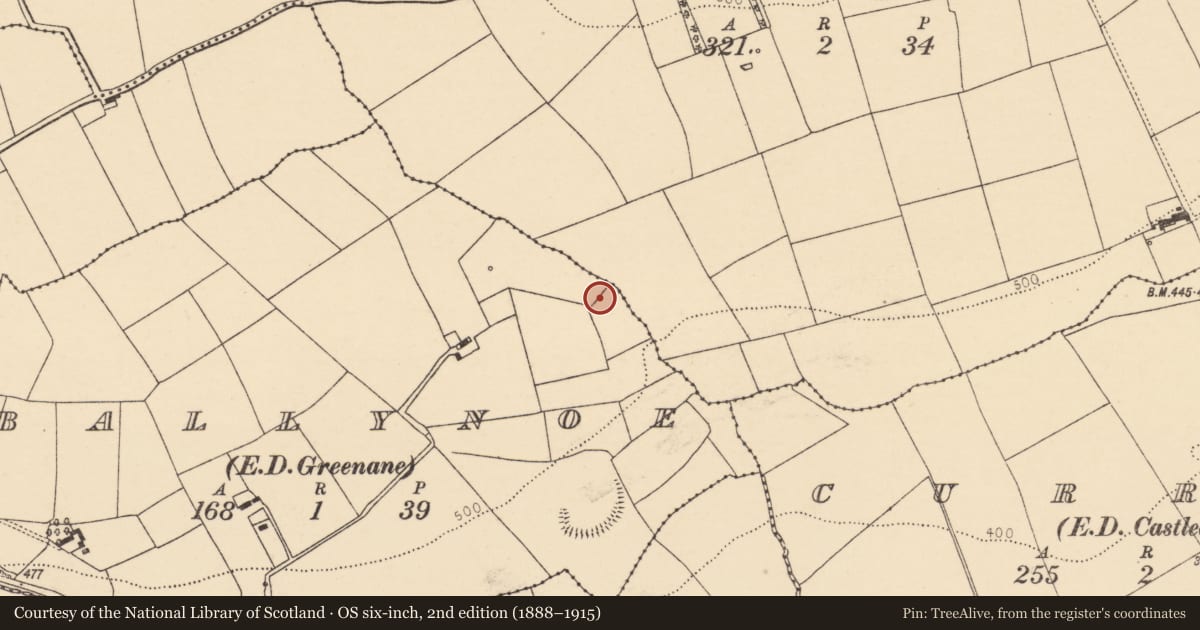 Ordnance Survey six-inch map, 2nd edition (1888–1915) covering the location of Fulacht fia, Ballynoe (Duhallow By., Kilbrin Par.), County Cork, with a pin at the register's coordinates