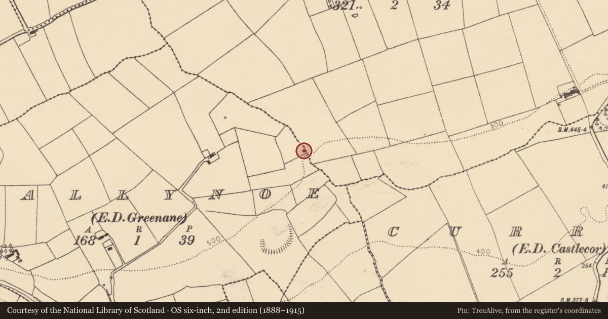 Ordnance Survey six-inch map, 2nd edition (1888–1915) covering the location of Fulacht fia, Ballynoe (Duhallow By., Kilbrin Par.), County Cork, with a pin at the register's coordinates
