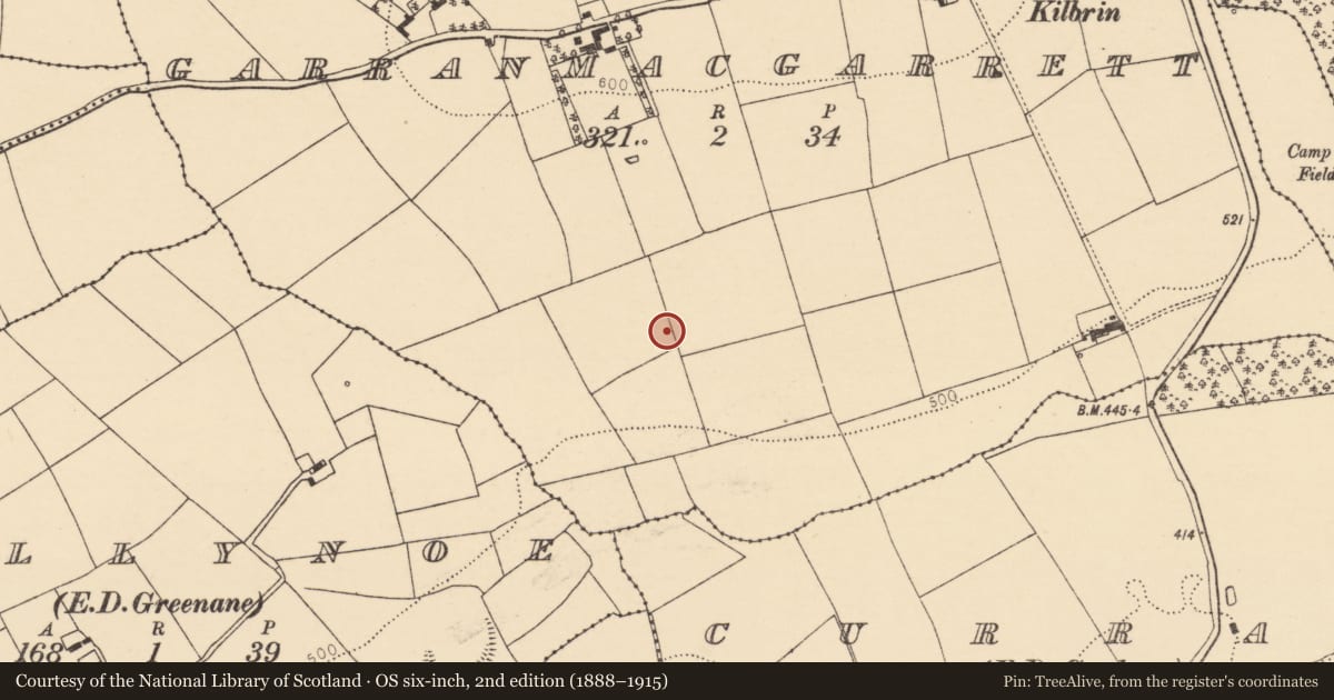 Ordnance Survey six-inch map, 2nd edition (1888–1915) covering the location of Fulacht fia, Garranmacgarrett, County Cork, with a pin at the register's coordinates