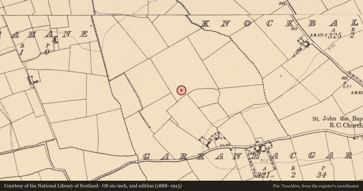 Ordnance Survey six-inch map, 2nd edition (1888–1915) covering the location of Fulacht fia, Garranmacgarrett, County Cork, with a pin at the register's coordinates
