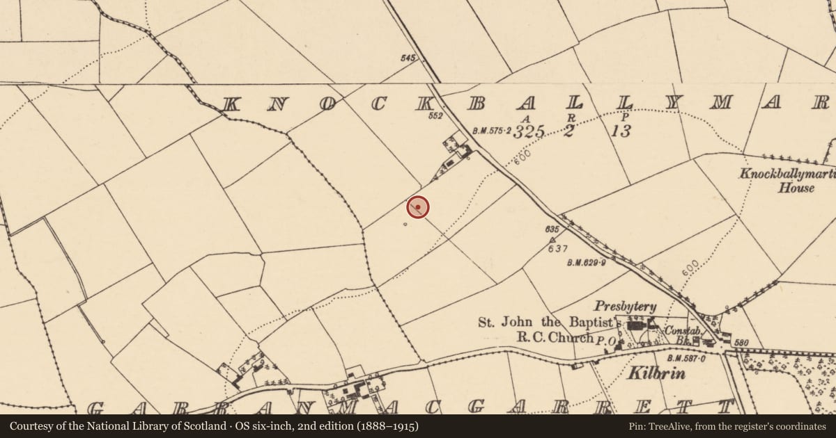 Ordnance Survey six-inch map, 2nd edition (1888–1915) covering the location of Fulacht fia, Knockballymartin, County Cork, with a pin at the register's coordinates