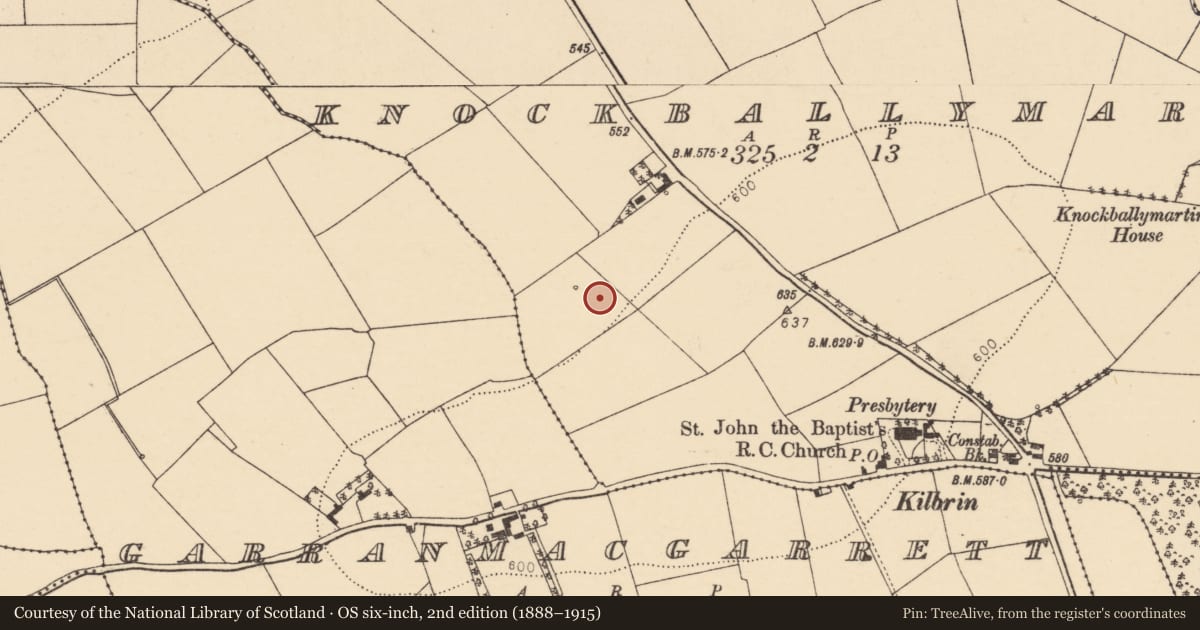 Ordnance Survey six-inch map, 2nd edition (1888–1915) covering the location of Fulacht fia, Knockballymartin, County Cork, with a pin at the register's coordinates