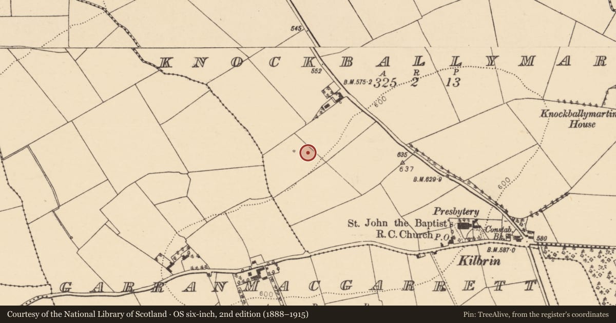 Ordnance Survey six-inch map, 2nd edition (1888–1915) covering the location of Fulacht fia, Knockballymartin, County Cork, with a pin at the register's coordinates