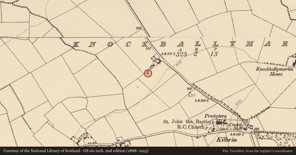 Ordnance Survey six-inch map, 2nd edition (1888–1915) covering the location of Fulacht fia, Knockballymartin, County Cork, with a pin at the register's coordinates