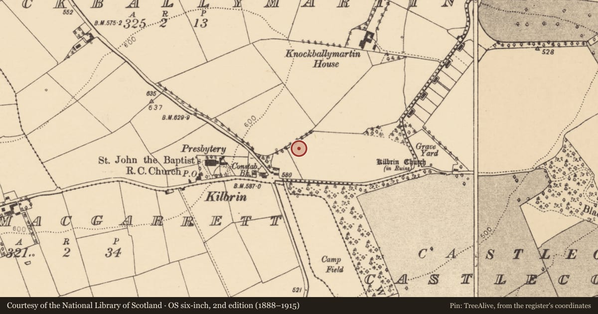 Ordnance Survey six-inch map, 2nd edition (1888–1915) covering the location of Fulacht fia, Knockballymartin, County Cork, with a pin at the register's coordinates