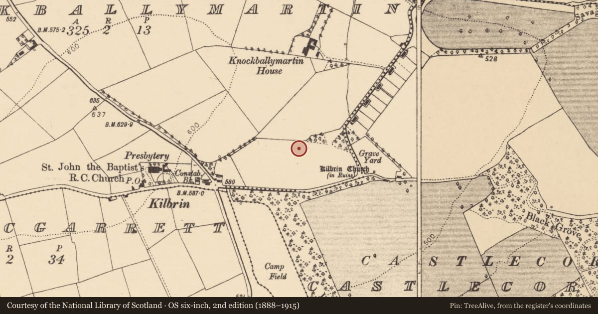 Ordnance Survey six-inch map, 2nd edition (1888–1915) covering the location of Fulacht fia, Knockballymartin, County Cork, with a pin at the register's coordinates