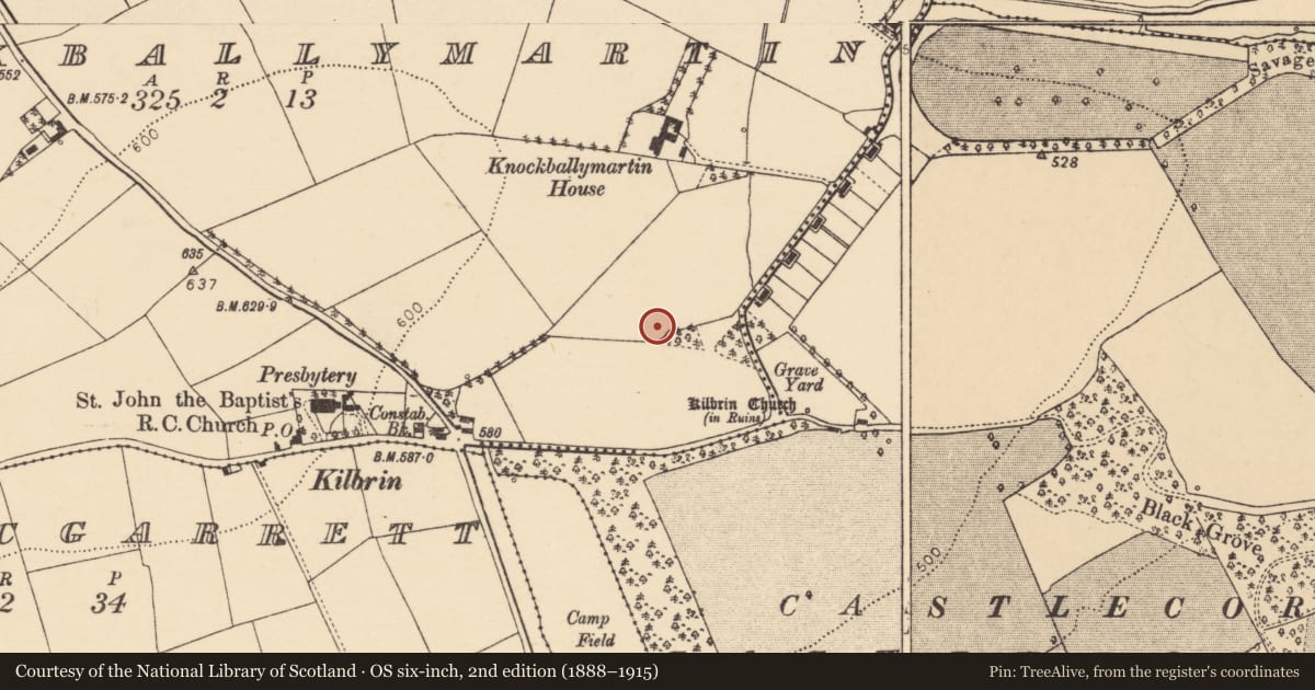 Ordnance Survey six-inch map, 2nd edition (1888–1915) covering the location of Fulacht fia, Knockballymartin, County Cork, with a pin at the register's coordinates