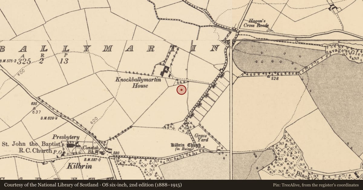 Ordnance Survey six-inch map, 2nd edition (1888–1915) covering the location of Fulacht fia, Knockballymartin, County Cork, with a pin at the register's coordinates