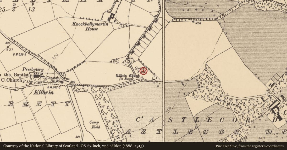 Ordnance Survey six-inch map, 2nd edition (1888–1915) covering the location of Graveyard, Castlecor Demesne, County Cork, with a pin at the register's coordinates