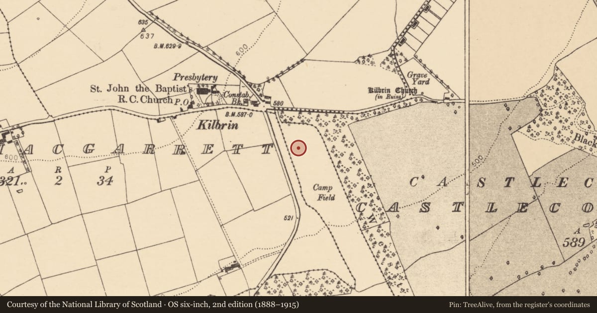 Ordnance Survey six-inch map, 2nd edition (1888–1915) covering the location of Moated site, County Cork, with a pin at the register's coordinates