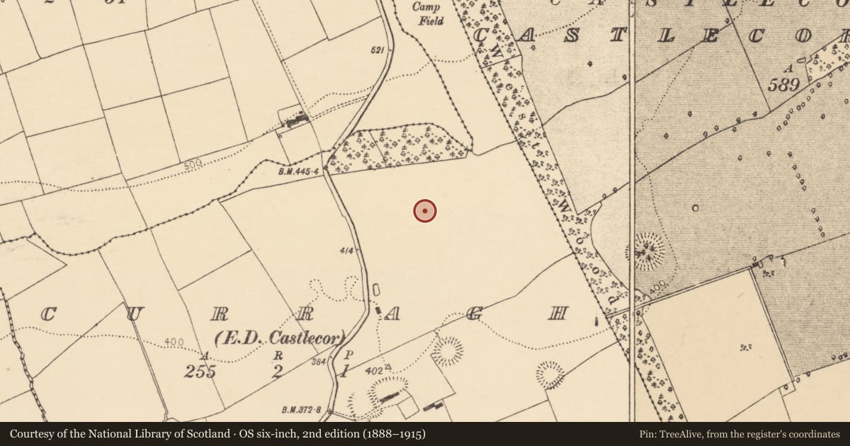 Ordnance Survey six-inch map, 2nd edition (1888–1915) covering the location of Fulacht fia, Curragh (Duhallow By., Kilbrin Par.), County Cork, with a pin at the register's coordinates