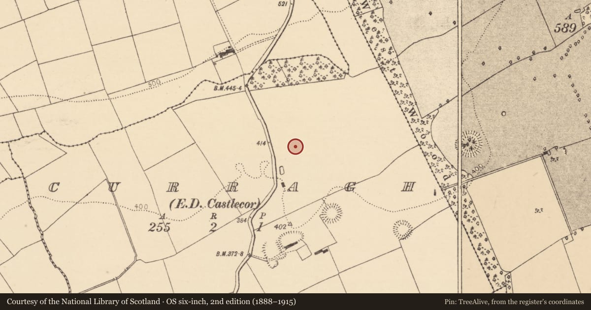 Ordnance Survey six-inch map, 2nd edition (1888–1915) covering the location of Fulacht fia, Curragh (Duhallow By., Kilbrin Par.), County Cork, with a pin at the register's coordinates